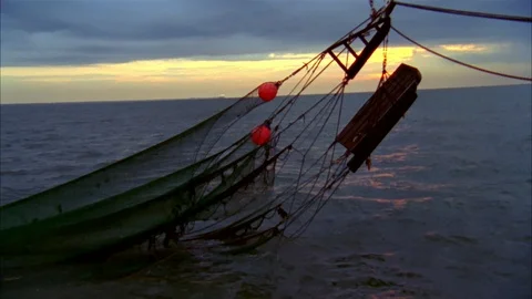 Shrimping Stock Footage 85999283