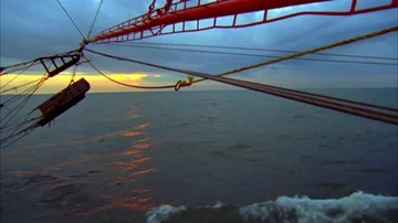 Shrimping Stock Footage 85999365