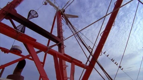 Shrimping Stock Footage 85999370