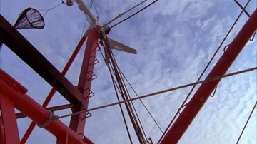 Shrimping Stock Footage 85999395