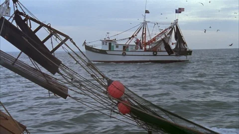 Shrimping Stock Footage 86405499