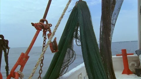 Shrimping Stock Footage 86405562