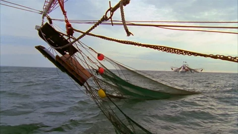 Shrimping Stock Footage 86405583