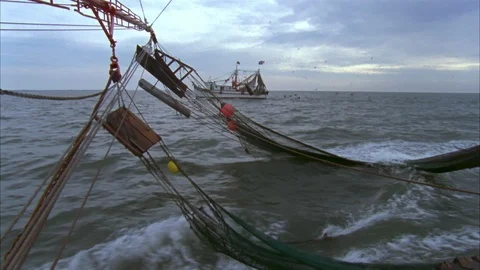 Shrimping Stock Footage 86405626