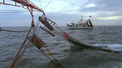 Shrimping Stock Footage 86405736