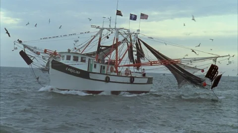 Shrimping Stock Footage 86405819