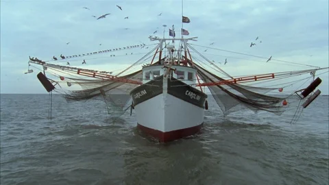 Shrimping Stock Footage 86405887