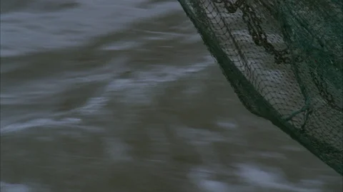 Shrimping Stock Footage 86405910