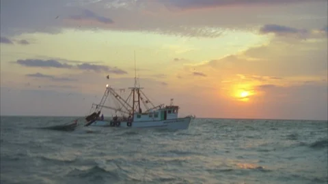 Shrimping Stock Footage 86406176