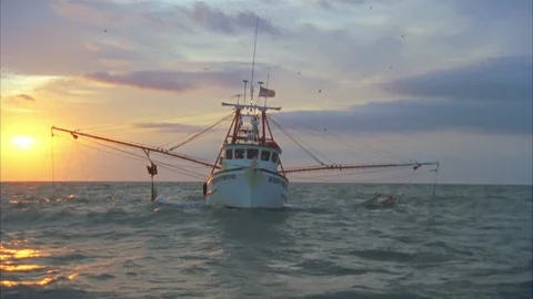 Shrimping Stock Footage 86406316
