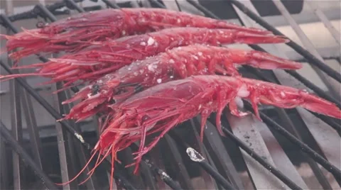 Shrimps on the barbecue Stock Footage 55799351