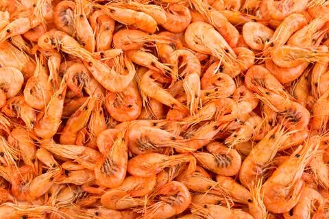Shrimps close-up as a background Stock Photos