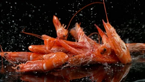 Shrimps falling on black table Stock Footage 159619252