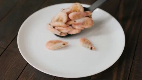 Shrimps Stock Footage 101098354