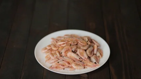 Shrimps Stock Footage 101098382
