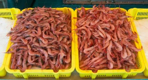 Shrimps Stock Photos