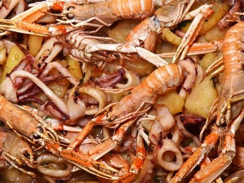 Shrimps Stock Photos