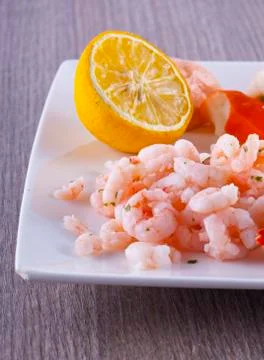 Shrimps Stock Photos