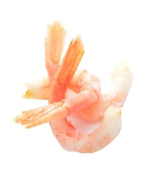 Shrimps Stock Photos