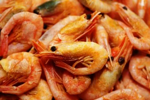 Shrimps Stock Photos