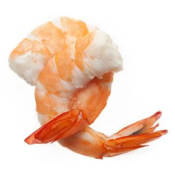 Shrimps Stock Photos