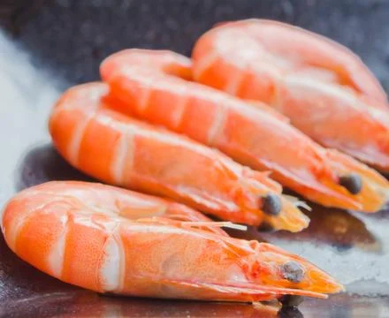 Shrimps Foto stock