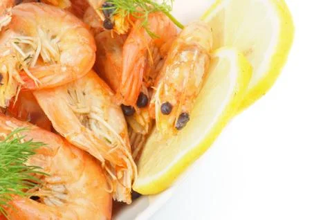 Shrimps Stock Photos