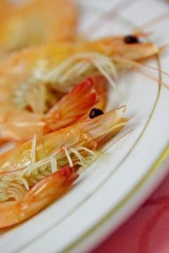 Shrimps Stock Photos