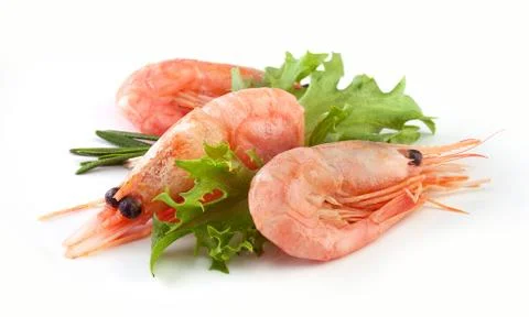 Shrimps Stock Photos