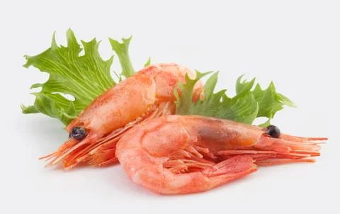 Shrimps Stock Photos