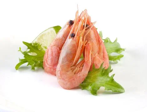 Shrimps Stock Photos