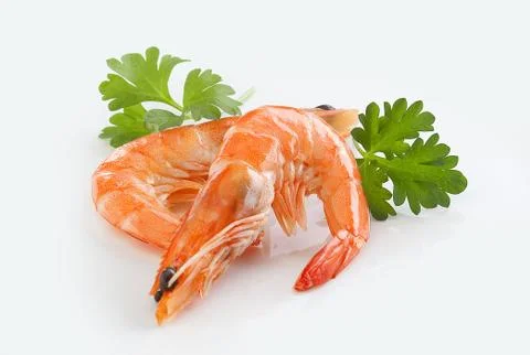 Shrimps Stock-Fotos