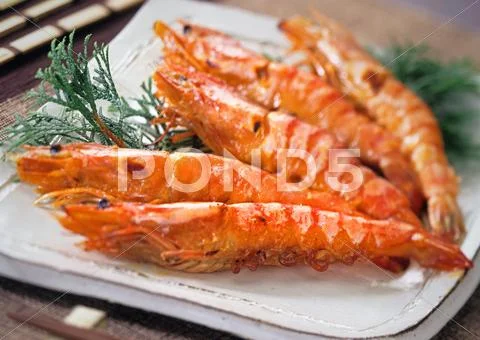 Shrimps Stock Photos