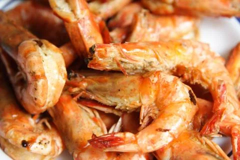 Shrimps Stock Photos