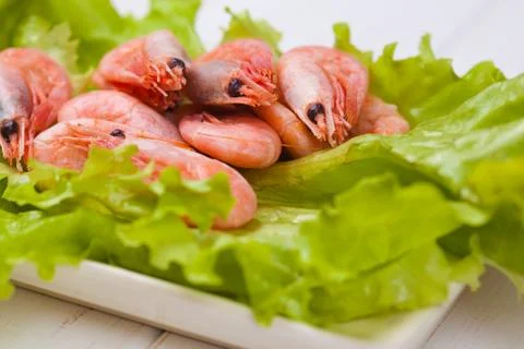 Shrimps Stock Photos