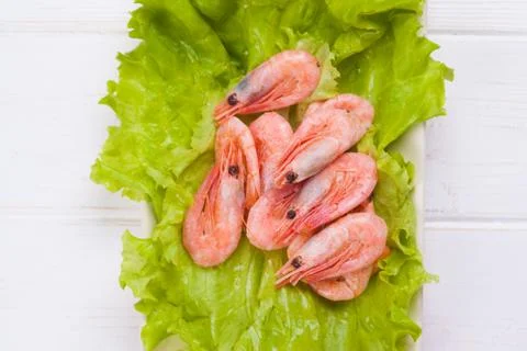 Shrimps Foto stock