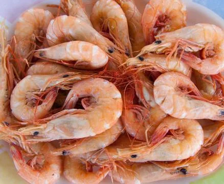 Shrimps Stock Photos