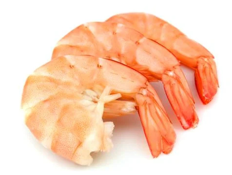 Shrimps Stock Photos