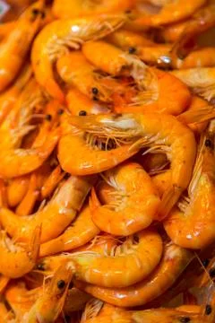 Shrimps Stock Photos