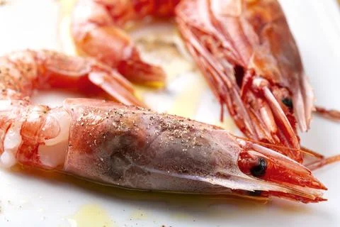 Shrimps Stock Photos