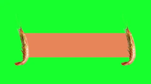 Shrimps with text lable Stock Footage 152383094