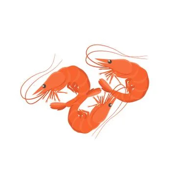 Shrimps vector illustration in flat design isolated on white background. Stock Illustration