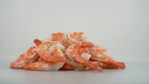 Shrimps on White Background Stock Footage 169729424