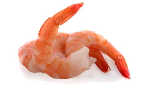 Shrimps on a white background Foto stock
