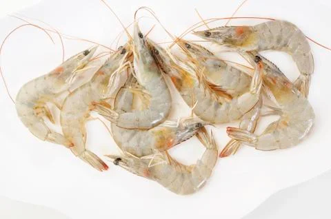 Shrimps on white Stock Photos