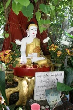 Shrine with buddha Stock Photos