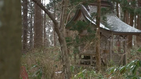 Shrine at Mount Haguro forest Video stock 128796505