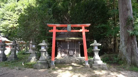 Shrine, Nara in Japan. Stock Footage 115876922