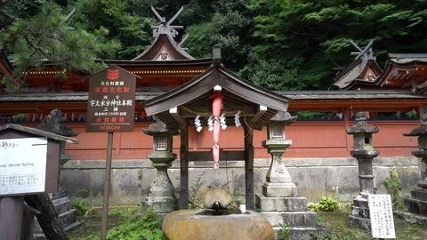 Shrine, Nara in Japan. Stock Footage 115876959