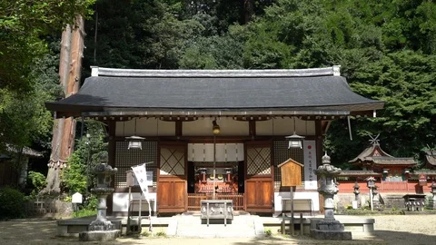 Shrine, Nara in Japan. Stock Footage 115876965